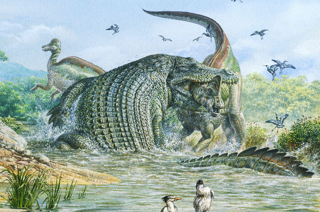 What's the difference between a deinosuchus and sarcosuchus? Are