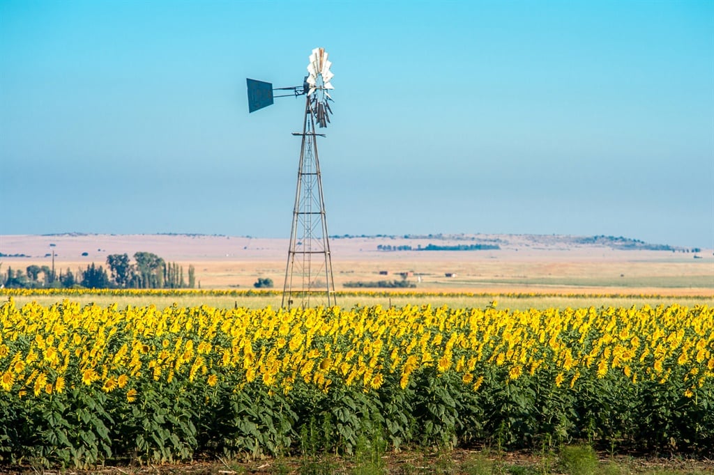 Good news for farmers as cooler summer expected for SA | Fin24