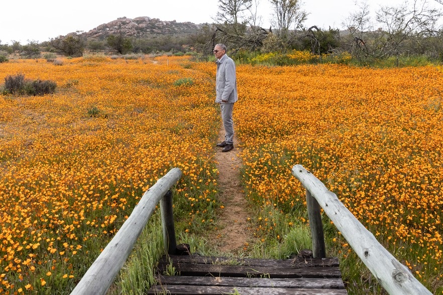 Leonard Cloete looks over the Namaqualand National