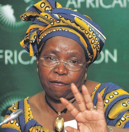  Minister for Cooperative Governance and Traditional Affairs Nkosazana Dlamini-Zuma