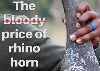 The bloody price of rhino horn