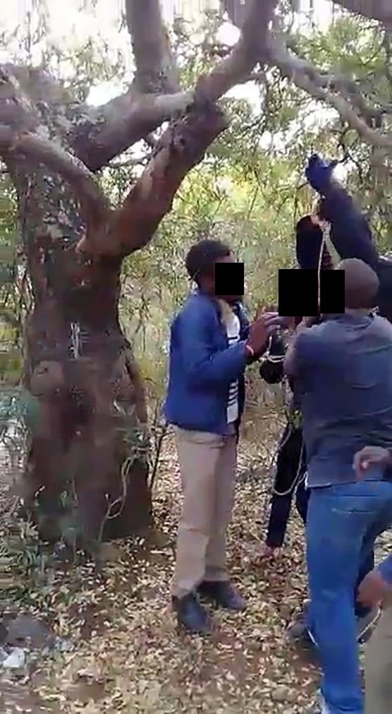 STRUNG UP: In this chilling clip that has gone viral, residents prepare to pull a man up in a tree after someone accused him of using muthi. 