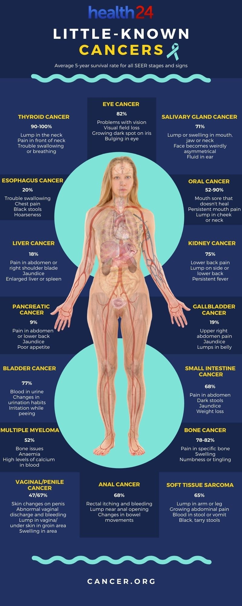 infographic on different types of cancers