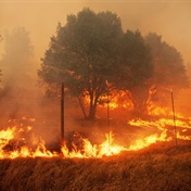 Climate change affecting ability to prevent US wildfires - study