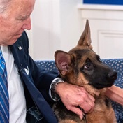 Joe Biden's dog Commander kicked out of the White House because it kept biting people