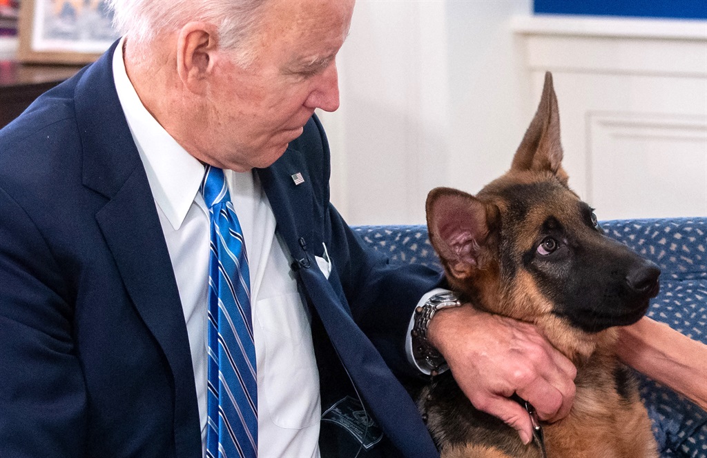 US President Joe Biden with his then new dog, Commander, in December 2021. (Photo by SAUL LOEB / AFP)