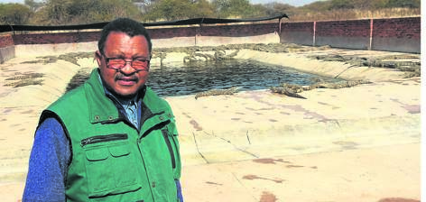Madala William Molekoa aims to grow his crocodile farm and create jobs for the youth.