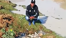 WATCH | Video shows dead fish floating on Duzi river after toxic spill