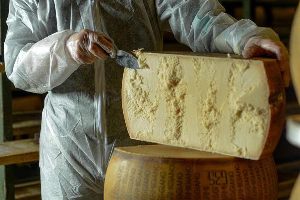 hundreds of different varieties of parmigiano reggiano in the biggest  parmesan cheese storage kinds of cheese ripening. picture of a cheese  factory in Switzerland. Generative AI Stock Illustration