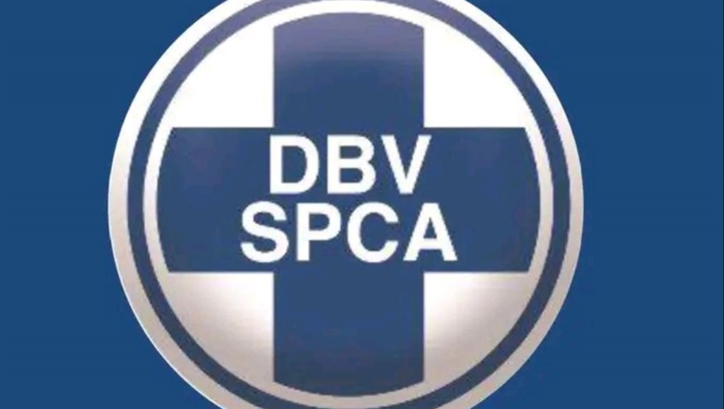 The SPCA is investigating a case of a man allegedly being forced to skin a dog for his employer's supper.