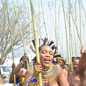 Reed Dance: 'There won't be drama this time!'   
