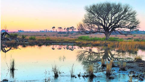 The author writes that wetlands are disappearing even faster than forests as they are subjected to various pressures, including pollution, drained for cropping and mining. Dave Ross, a photographer from Kroonstad, captured this sunrise near this dam, in an area known as the wetlands.