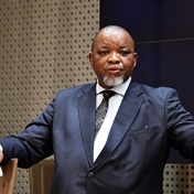 'What are the mice running from?' Mantashe on Transnet, Eskom resignations