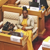 Busisiwe Mkhwebane - Figure 1