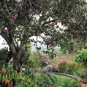 Beautiful reader garden in Stellenbosch