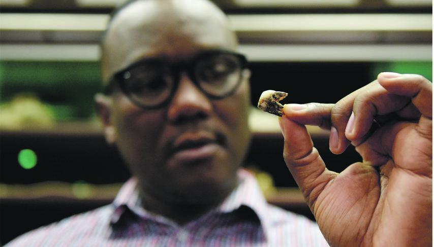 Khethi Nkosi holds the tooth of a Homo erectus specimen that has been named after him. Picture: Tebogo Letsie