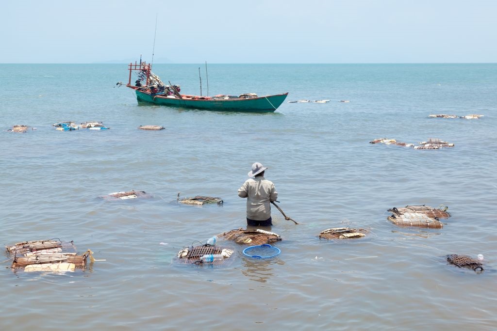 Fishermen in Cambodia have smaller catches of crab due to warmer water temperatures.