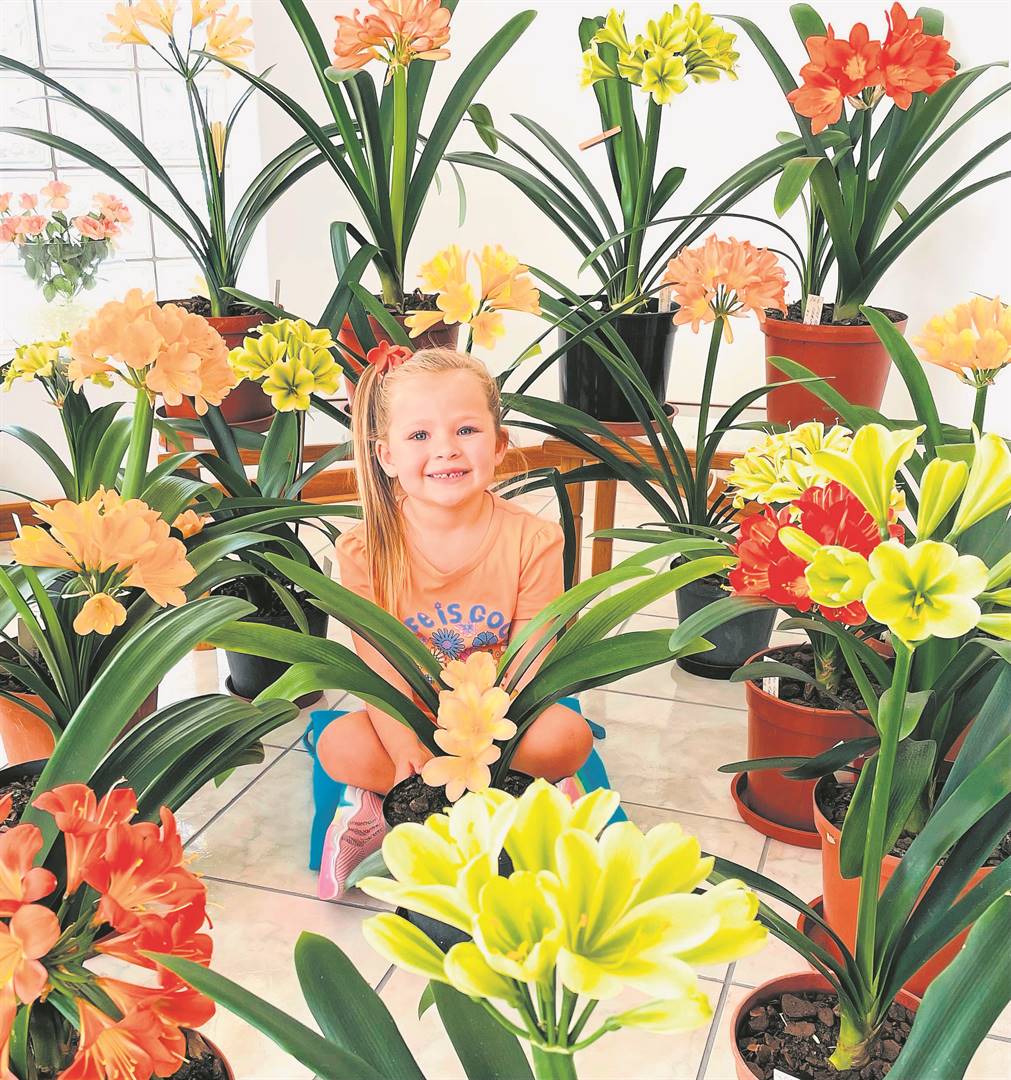 Spring is here, and what better place to experience this than at the Eastern Province Clivia Show and sales, on September 30 and October 1 at the Fairview Sport Complex in Willow Road, Gqeberha. Read the full story on page 4. Pictured is Zayla Williams (3) among some of the gorgeous clivia that will be on display at the Eastern Province Clivia Show.     