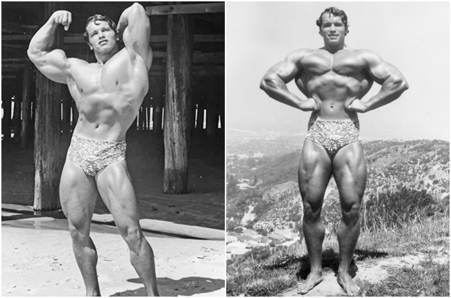 Arnold Schwarzenegger puts the wisdom of age to good use by