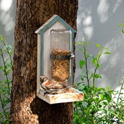 How to make a stylish bird feeder for your garden
