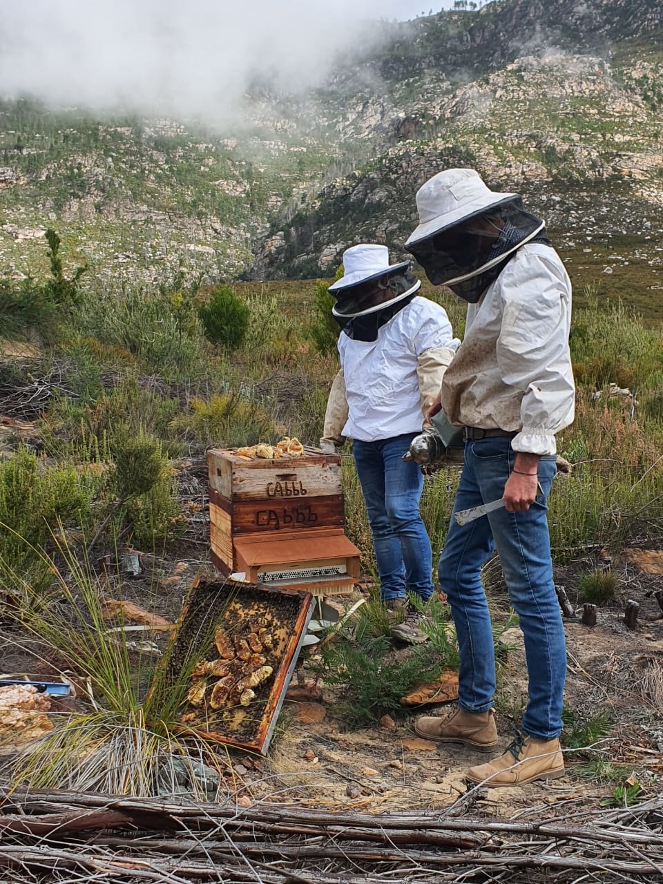 Two apiarist's standing next to a Beeodiversity hi