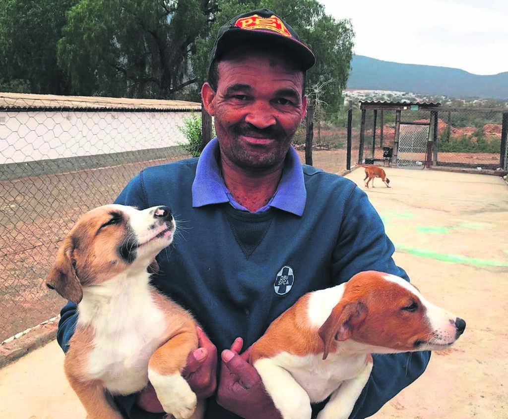 SPCA Boarding Fees And New Operating Hours Netwerk24 spca-boarding-fees-and-new-operating-hours-netwerk24