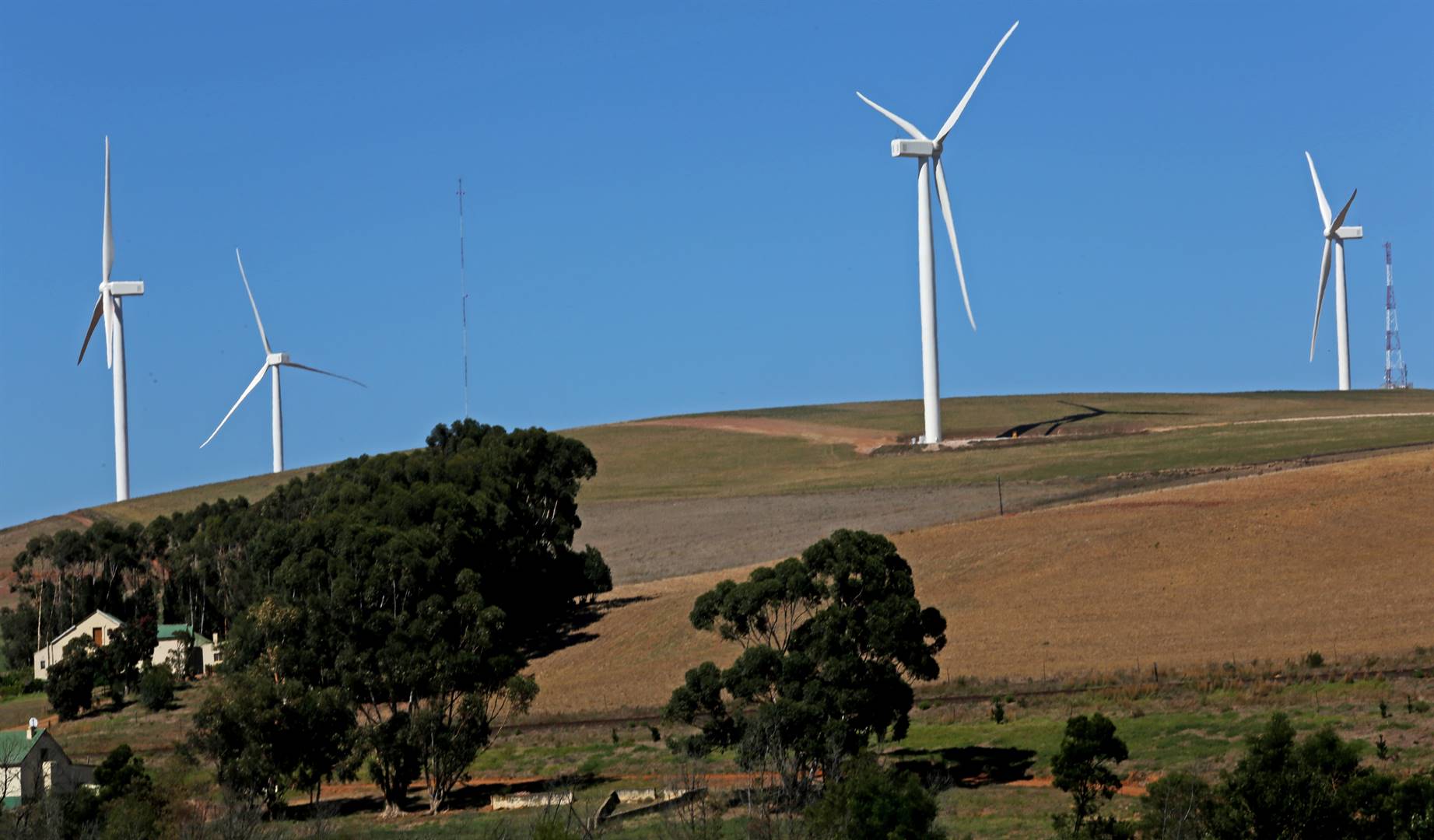Windturbines naby Caledon in die Wes-Kaap. Foto: Gallo Images/Nardus Engelbrecht
