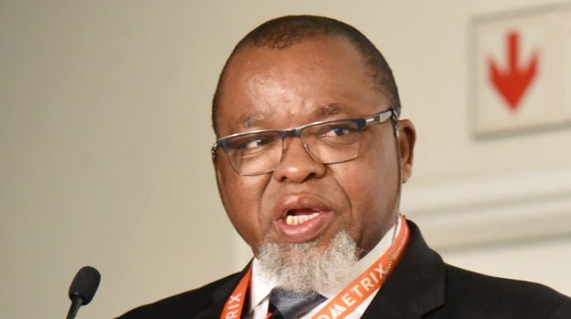 Minister of Energy and Mineral Resources Gwede Mantashe (Gallo Images/Business Day/Freddy Mavunda)
