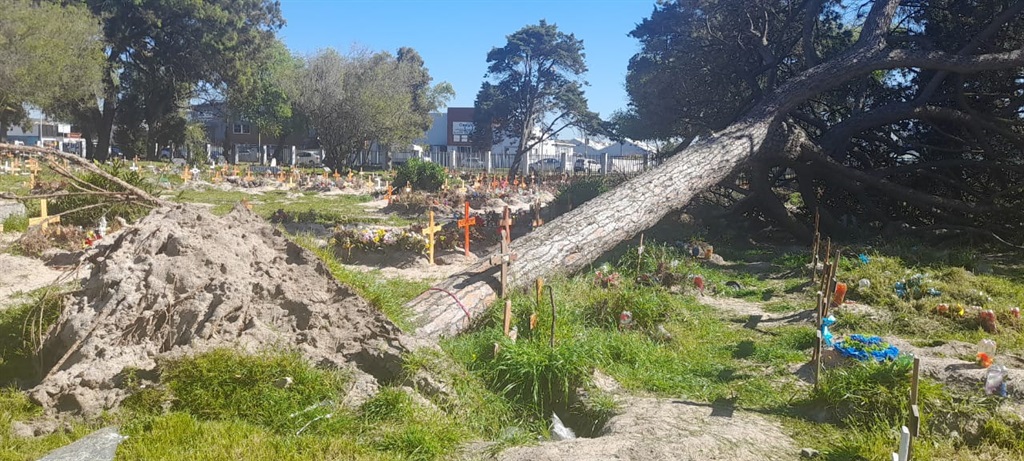 Strong winds and heavy rains uprooted trees at Maitland Graveyard in Cape Town. 
