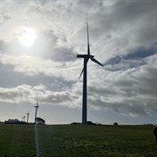 Wind farms to try painted turbine blades in a bid to stop killing birds