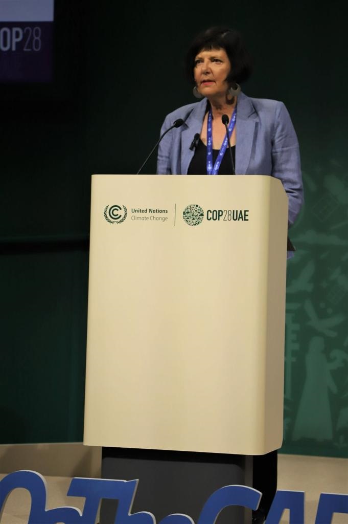Forestry, Fisheries and Environment Minister Barbara Creecy calls for universal access to climate change and mitigation technologies Photo: Supplied 