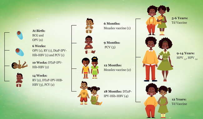 SA Immunisation Schedule