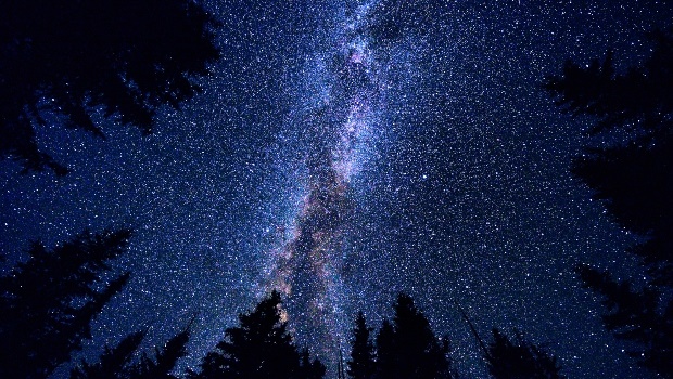 Stars. (PHOTO: Getty/Gallo Images)