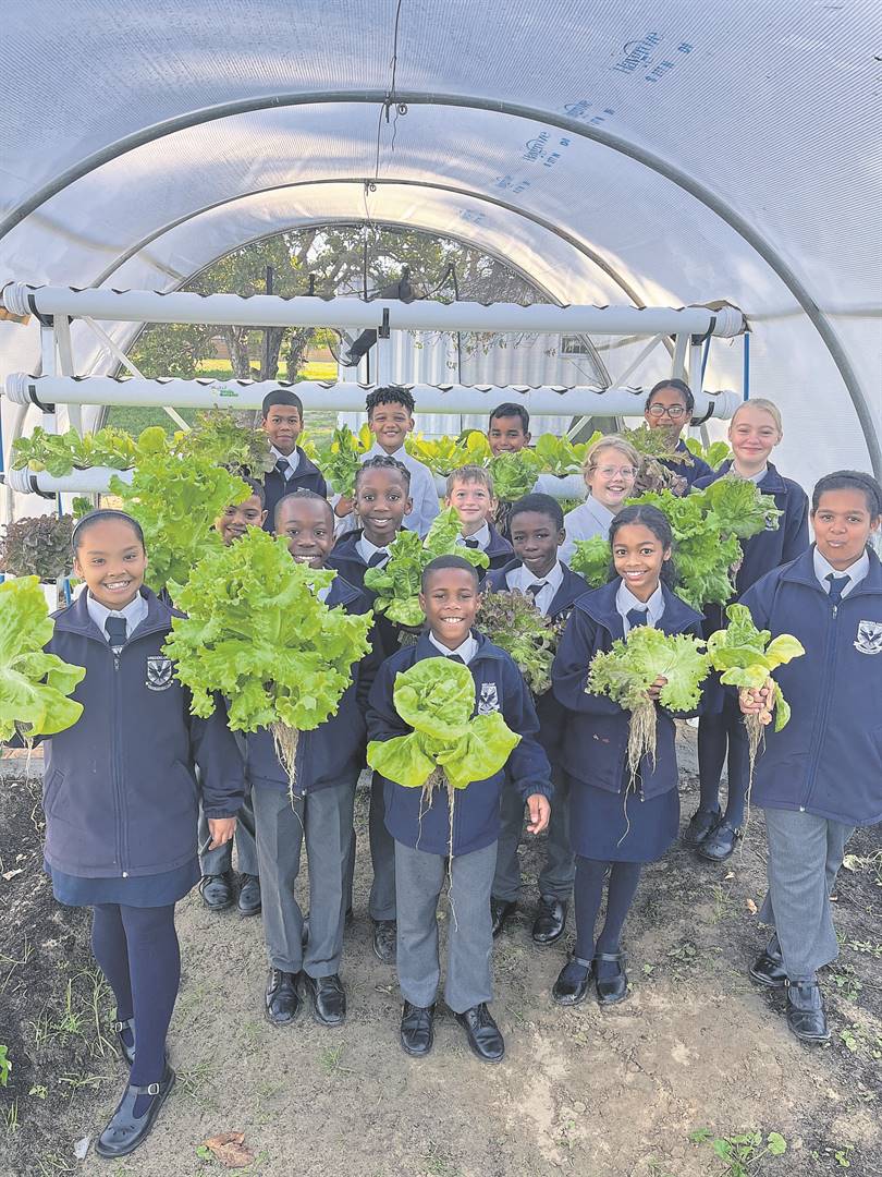 Learners at Vredekloof Primary proudly show off their first Hydroponic Harvest for 2024. This initiative forms part of the school’s Steamac programme. 