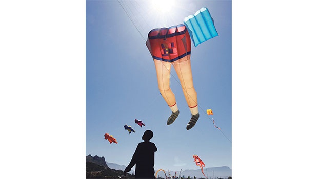 25th Cape Town International Kite Festival