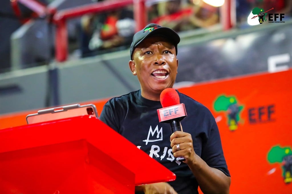 Malema says his initial support for Springboks was a slip in ‘political consciousness’ | News24