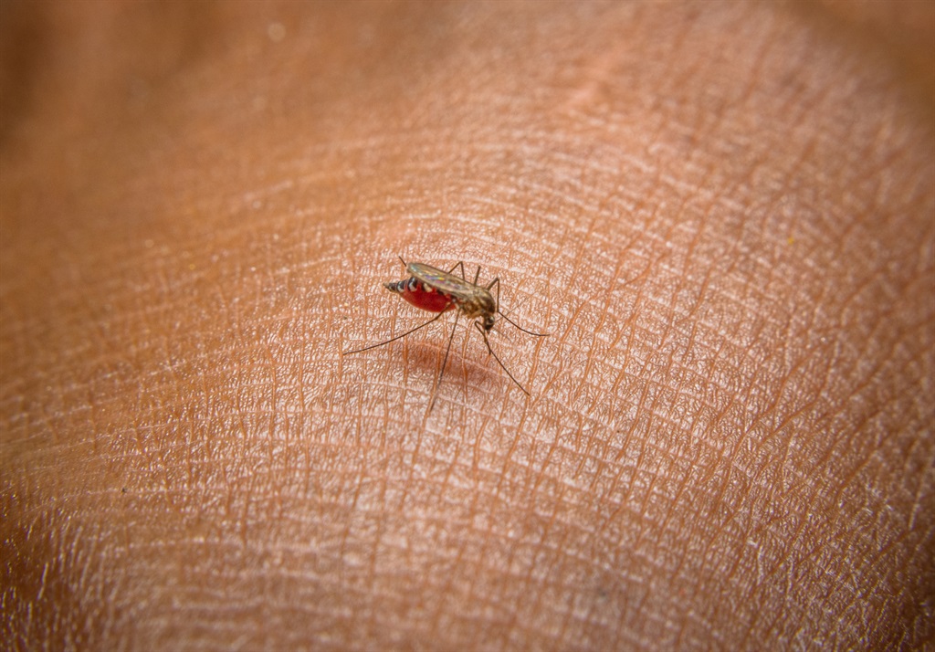Almost 70 people have died from malaria this year, as the Department of Health urges South Africans to be vigilant ahead of the country’s “malaria season”.