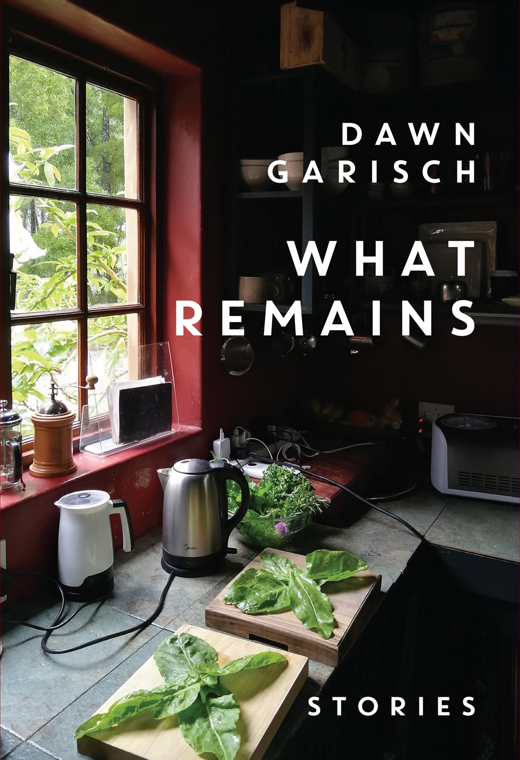 What Remains by Dawn Garisch