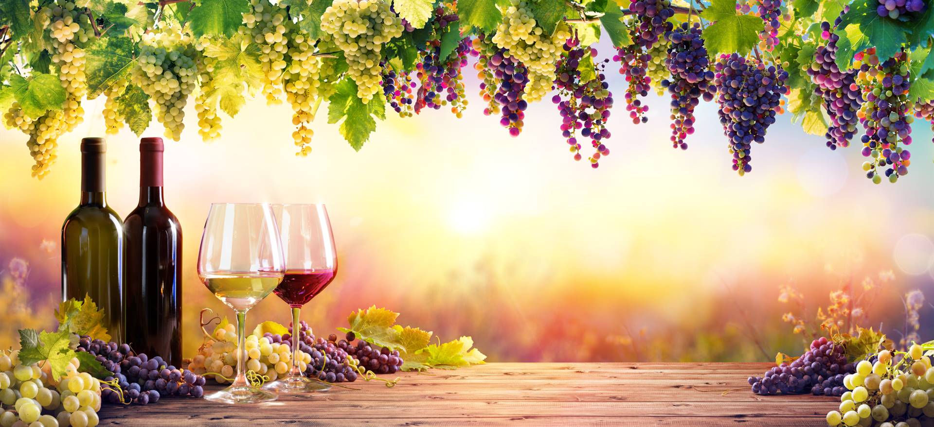 Despite a drought that hit the grape harvest, production rose 3% to 9.7 mhl in South Africa. Picture: iStock/Gallo Images