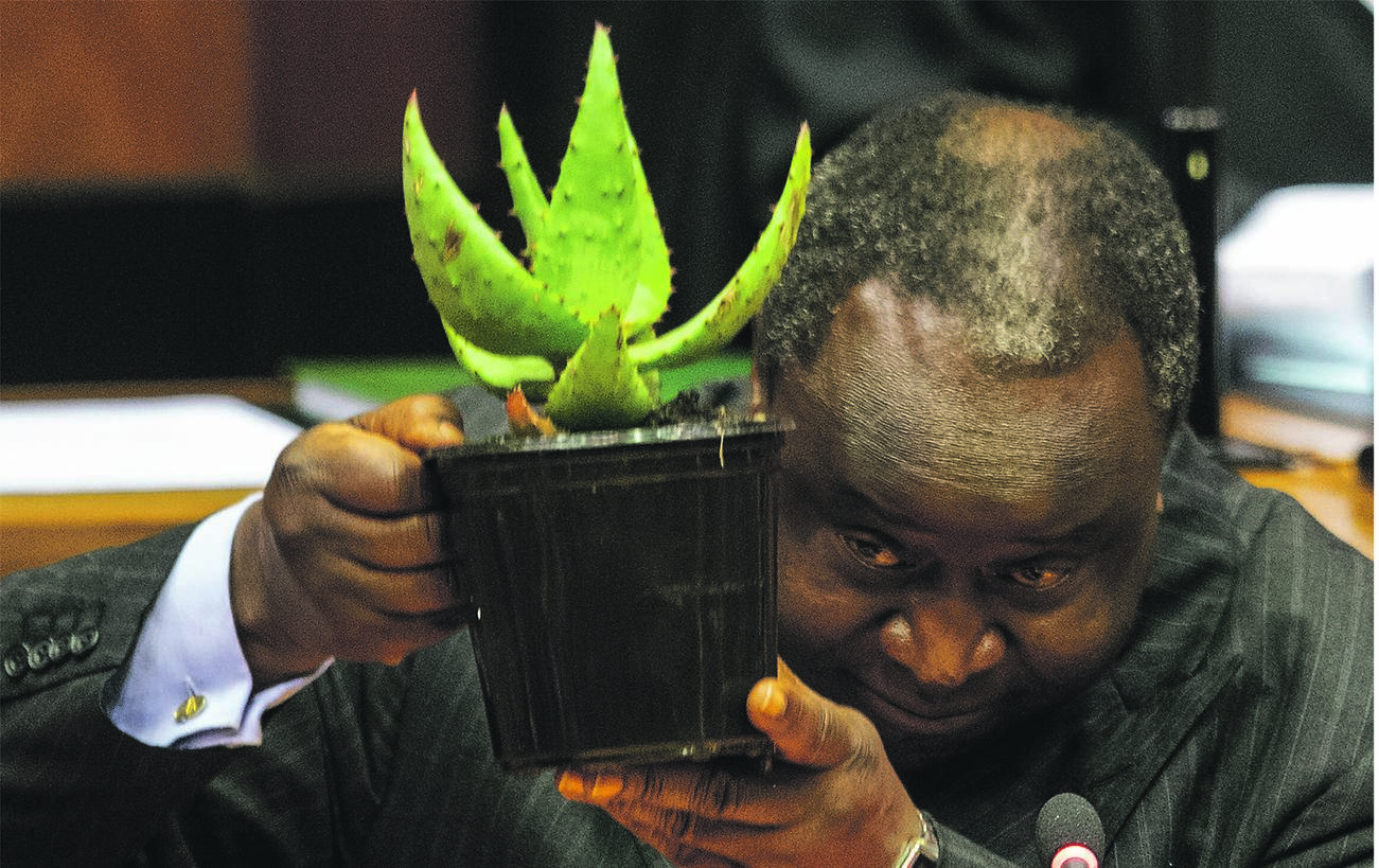 Tito Mboweni, the minister of finance, delivers the medium-term budget policy statement – and a little succulent plant – to the National Assembly in Parliament, Cape Town in 2019. Picture: Jaco Marais