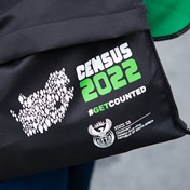 Census 2022: Foreign nationals make up only 3% of SA's population