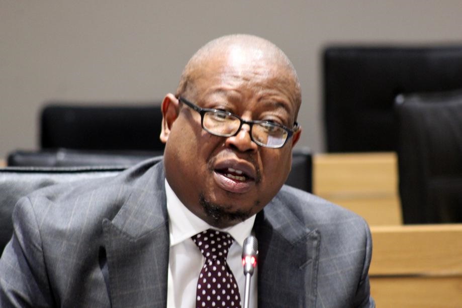 Home Affairs faces committee | Daily Sun