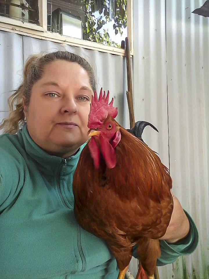 Natacha Jacobs has forked out R14 000 to keep her pet chicken Tjortsie alive over the past week, but she still doesn’t know what’s wrong with him. Picture: Facebook