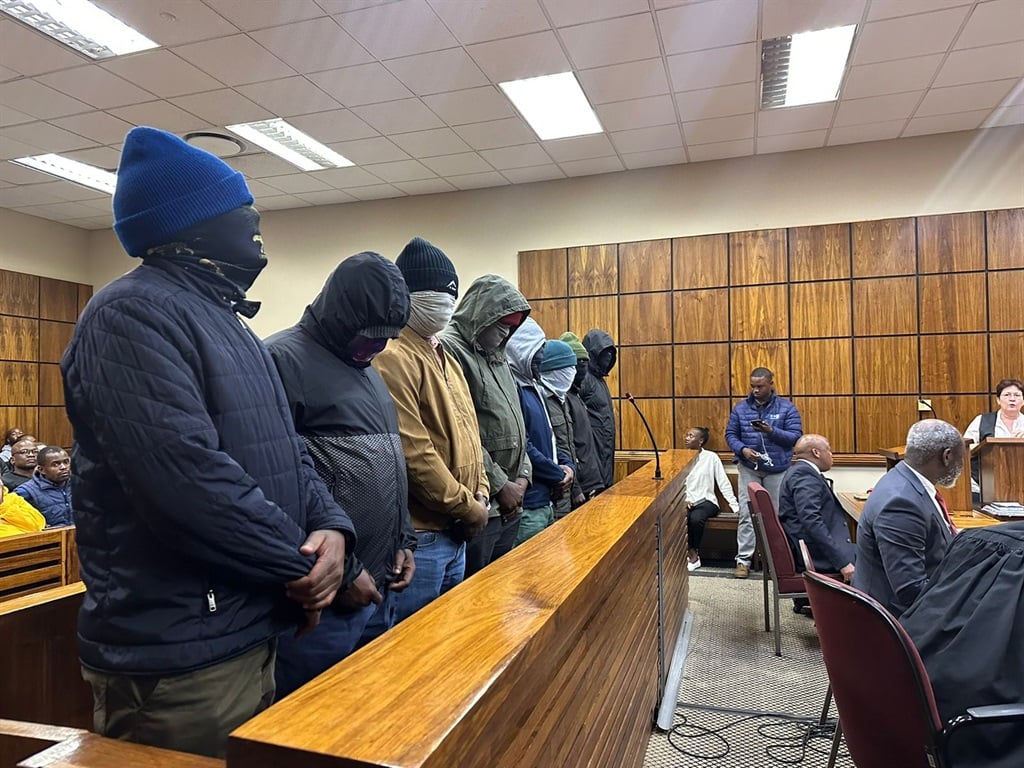 The eight Presidential Protection Services police officers charged with assaulting people along the N1 in Gauteng. (Iavan Pijoos/News24)