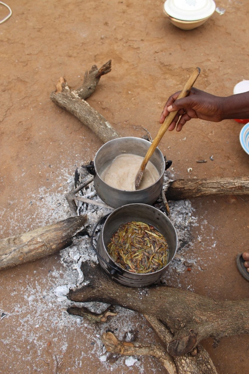 A villager making porridge after cooking grasshoppers in a separate pot (front). 