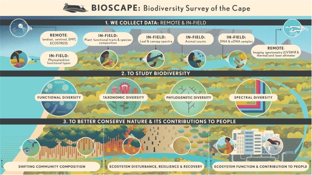 Infographic from the BioScape project