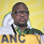 Underperforming ministers won't be changed ahead of 2024 elections - Fikile Mbalula 