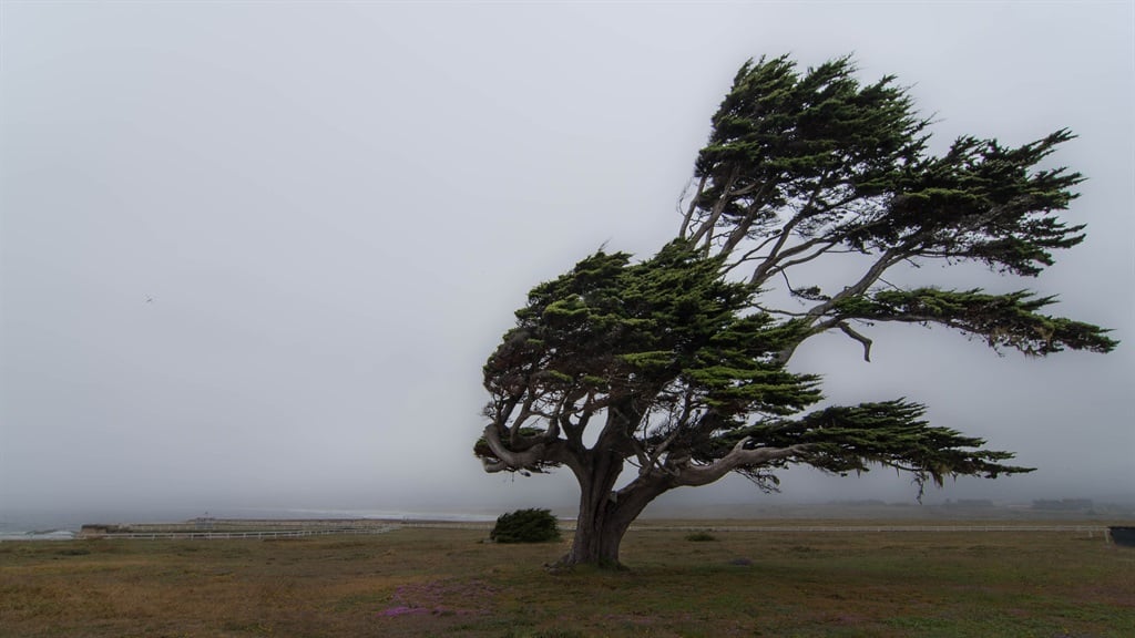 The Weather Service has warmed of damaging winds in parts of the Eastern Cape. (Jason Persoff/@Stormdoctor/Getty Images)