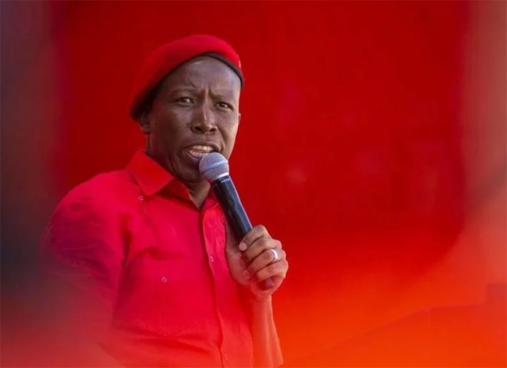 EFF leader Julius Malema could hold the key to who is elected as the next Johannesburg mayor. (Getty Images)