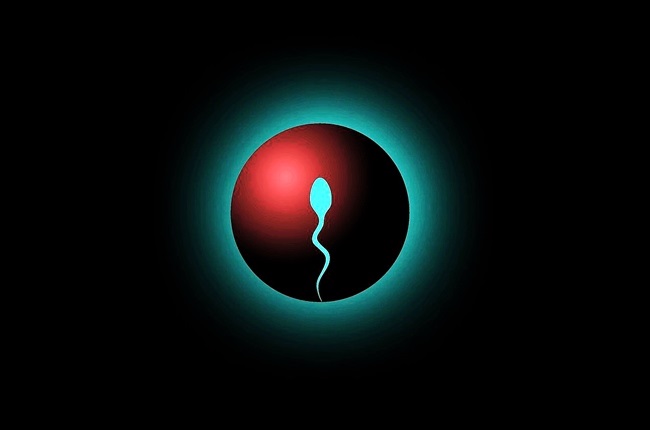What affects male fertility?